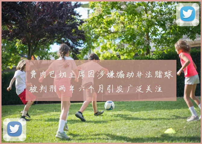 费内巴切主席因涉嫌煽动非法赌球被判刑两年六个月引发广泛关注